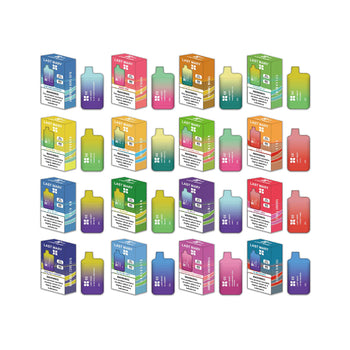 Last Mary 600 Puffs Disposable Vape Kit